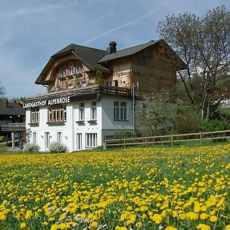 Hotel Alpenrose Beim Ballenberg Hofstetten bei Brienz Exteriér fotografie