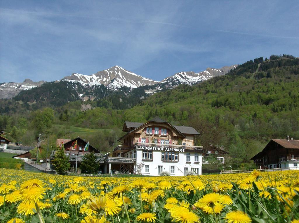 Hotel Alpenrose Beim Ballenberg Hofstetten bei Brienz Exteriér fotografie